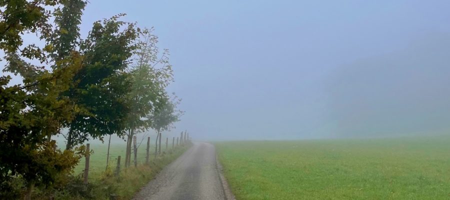 Warum hat der Schweinehund aufgegeben?