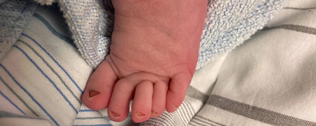 Elva ist da! Herzlich Willkommen!