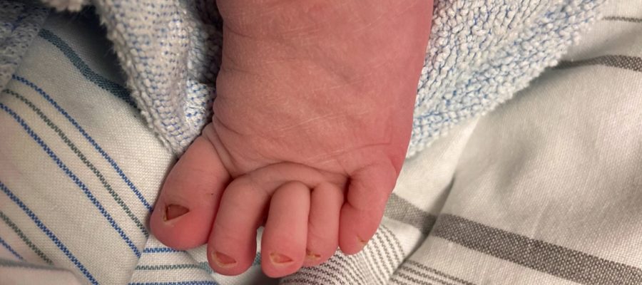 Elva ist da! Herzlich Willkommen!