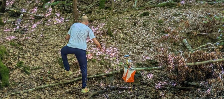 Lauf 1 der Eiskugelchallenge 2026, mitten im Wald