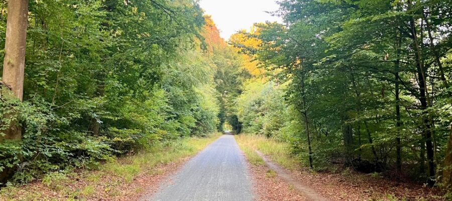 Hier entstand die Idee zum Kaisa Nieminen Laufkrimi von Markus Heidl