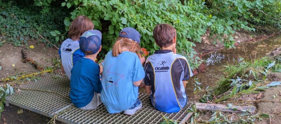 Die 4. Etappe der OLV Eiskugelchallenge 2026 in Traisa